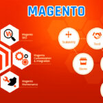 Premium Magento Development Services
